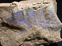 %_tempFileName3091-5_Quartz%20var%20Opal_Andamooka_Australia%
