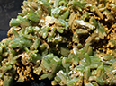 %_tempFileName3140_Pyromorphite_Guanxi_China%