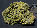 %_tempFileName3180a-2_Pyromorphite_LesFargesMine_Usset_Correze_France%