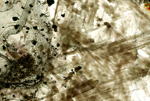 %_tempFileNameMica178e%